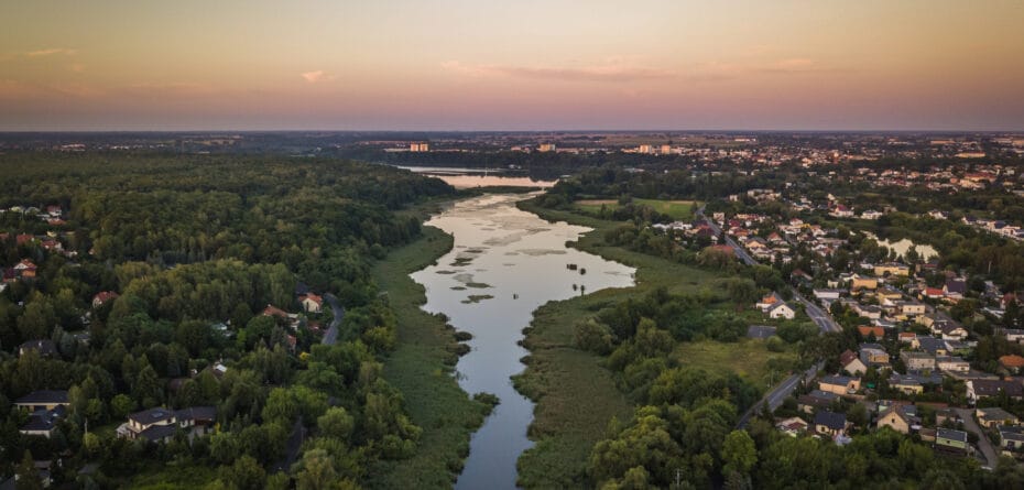Premia społeczna