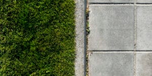 Susza w&nbsp;Polsce. Jak dbać o&nbsp;zieleń w&nbsp;czasie niedoboru wody?