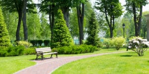 Tereny zieleni w&nbsp;Polsce