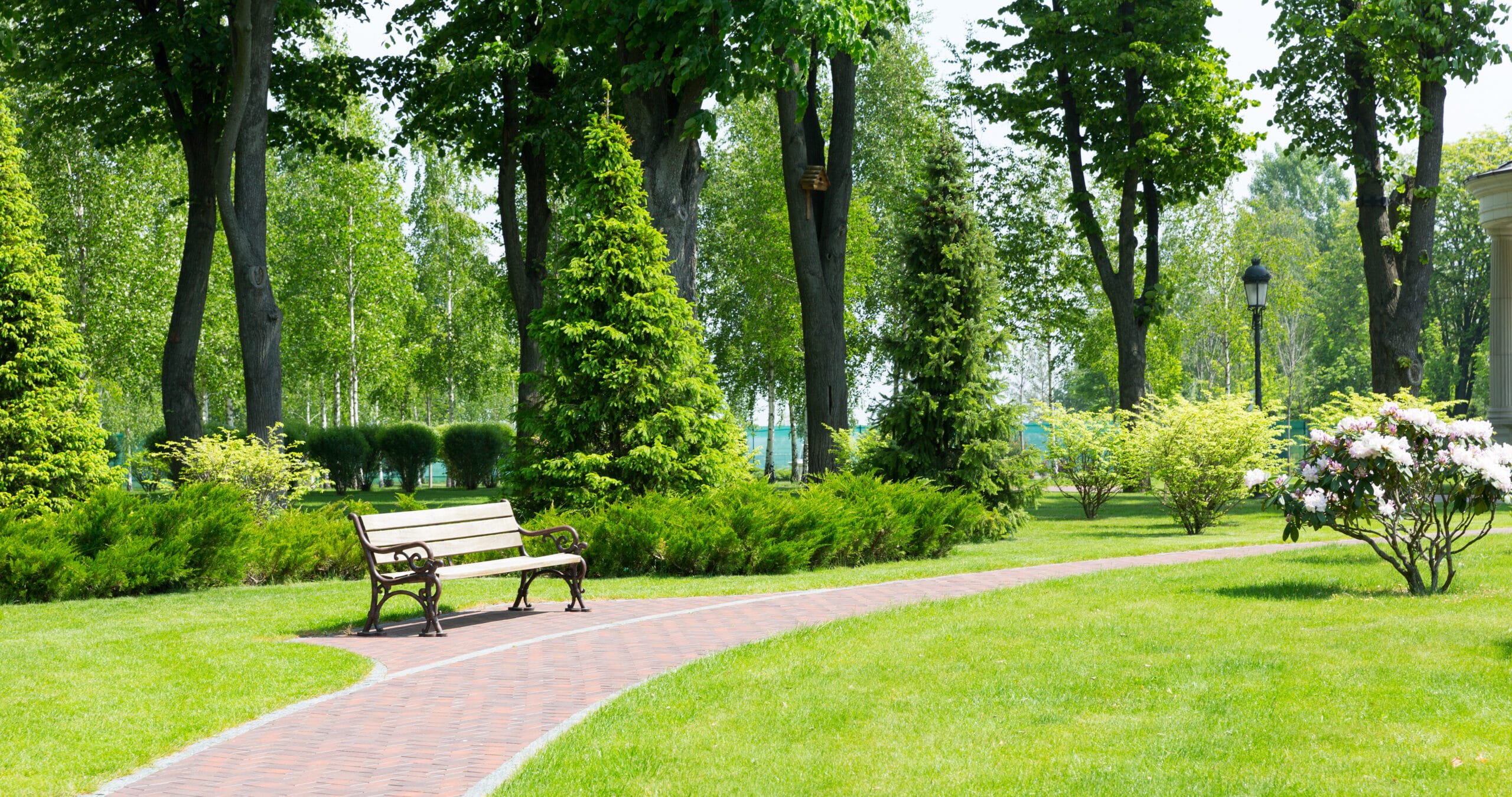 Long stone pavement with bench in the green park