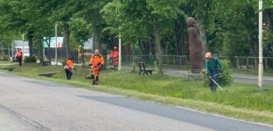 Koszenie w nadmorskich miejscowościach