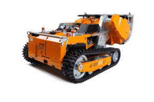 AS 1000 Ovis RC