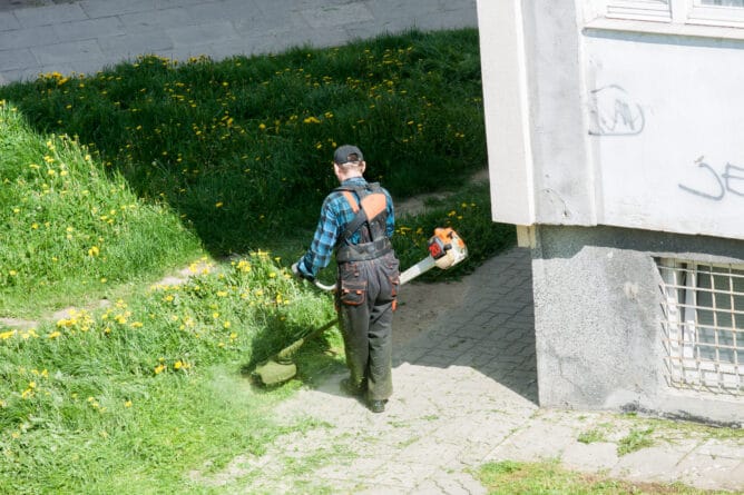 Pracownik podczas prac z podkaszarką – bezpieczeństwo pracy przy koszeniu trawy to nie tylko obowiązek, ale realna potrzeba sezonu letniego.