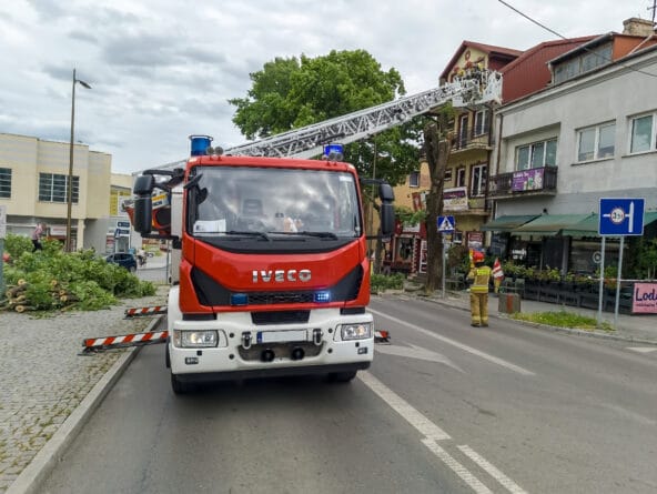 Zielone prace w pasach drogowych i na poboczach