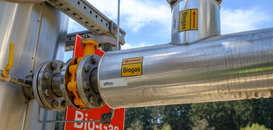 300 milionów na zieloną energię. Ruszył nabór dla firm na biogaz i biometan!