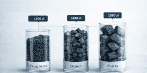 Ceny węgla luty 2026. Aktualny cennik i&nbsp;zestawienie dla ekogroszku, orzecha i&nbsp;kostki