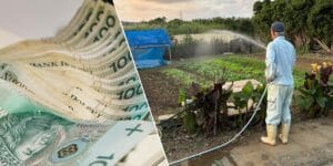 Wkrótce ruszą dotacje na zbieranie deszczówki. Sprawdź, na co można wydać 8000 zł