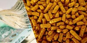 Wysokie ceny opału uderzyły w&nbsp;400 tys. Polaków. Czy rząd wprowadzi dopłaty do pelletu?