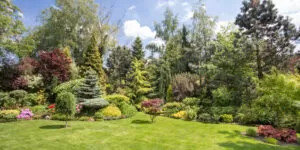 Długi weekend majowy 2026: jak zadbać o&nbsp;ogród po kapryśnej wiośnie?