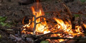 Czy można palić liście i&nbsp;gałęzie na działce wiosną 2026?