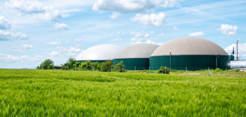 Ruszył ważny nabór NFOŚiGW. Do wzięcia 300 mln zł na wsparcie produkcji biometanu