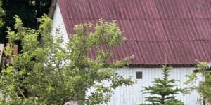 Wymiana eternitu: dlaczego pomoc państwa utknęła w martwym punkcie?