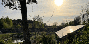 Dotacje dla kolejnych prosumentów na fotowoltaikę i magazyny energii. Nabór wniosków ruszył już dziś!