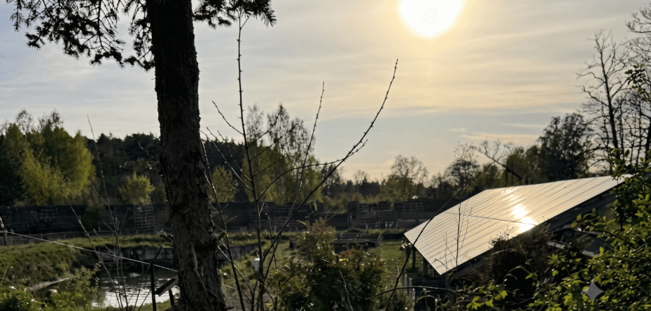 Dotacje dla kolejnych prosumentów na fotowoltaikę i magazyny energii. Nabór wniosków ruszył już dziś!