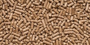 Pellet przed zimą 2026/2027 drożeje. Ile trzeba zapłacić za ogrzewanie domu?
